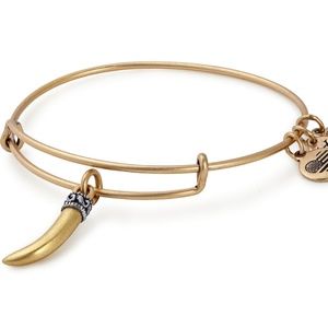 Alex and Ani Jewelry - NWT Alex and Ani Horn Charm Bracelet Alex and Ani Jewelry - NWT Alex and Ani Horn Charm Bracelet